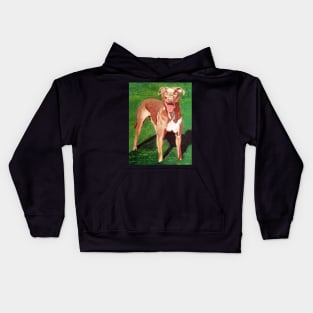 Pit Bull Terrier Dog Kids Hoodie